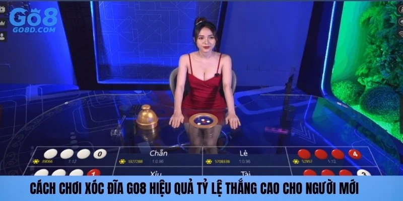 Cách chơi xóc đĩa Go8