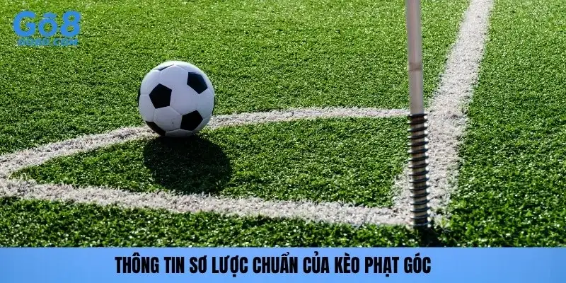 Thông tin sơ lược chuẩn của kèo phạt góc